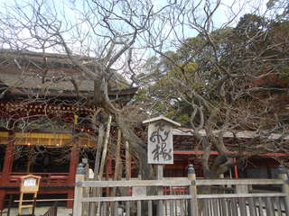 ご褒美の旅パートⅡ　（　JTA０５０便　１２・６、　JTA０６５便　１２・８　）