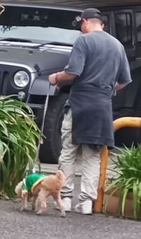 犬と遭遇