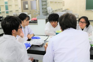 サイエンスリーダー高校生講座遺伝子科学2日目