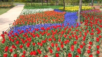 ５月の予約状況♪