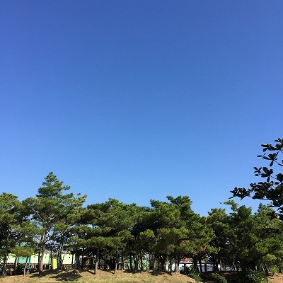 ママ友をディキャンプに誘う A Person Carry On Living Politely