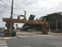 動物園に植物を見に