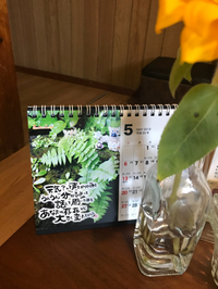 5月の言葉 2018/05/02 12:24:42