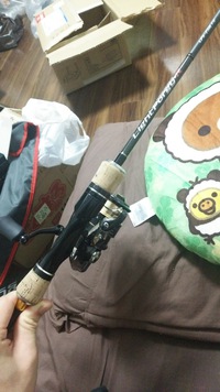 近状報告