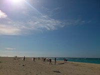 ビーチ清掃 2014/06/09 07:04:58