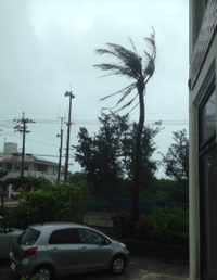 台風＆片付け 2014/07/09 16:01:17