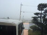 台風(*_*) 2015/08/24 12:46:39
