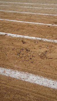 草刈りしなさい。 2018/09/23 11:15:47