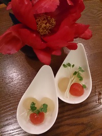 とうがん＆トマト