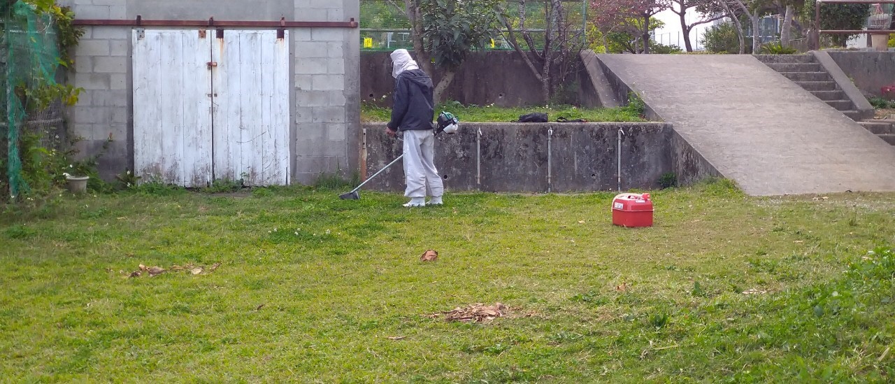 ファイターズ美化作業