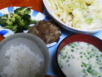 ハンバーグ 2013/02/16 21:26:32