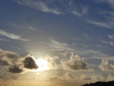 帰ってきました～