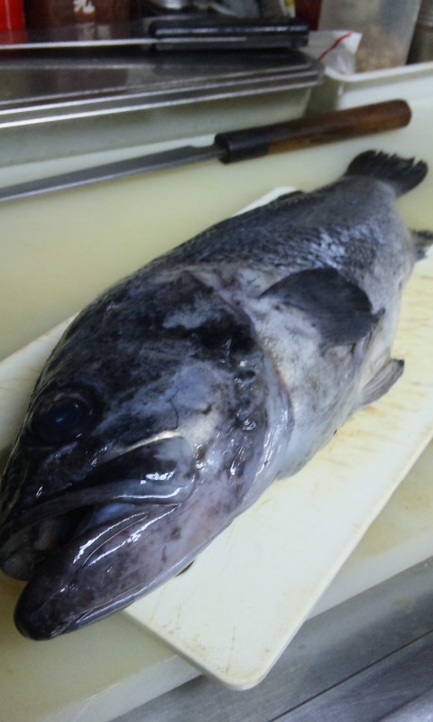 黒ソイの刺身 那覇市泉崎 旭橋 北海道と沖縄のうまいもの処 美食心酔かがや