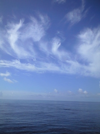 東シナ海