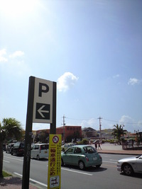 秋の毛生え・・・・？！