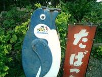 そう言えば