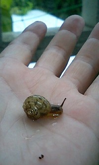 温暖化か！