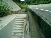 これはっ！？