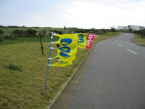 嵐のチャリティー