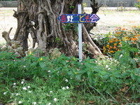 友利プロ 2006/08/31 22:18:00