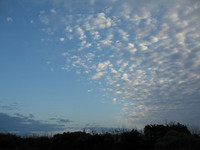 初日の出 2007/01/01 08:24:19