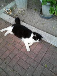 ふとしたこと 2008/11/16 22:52:02
