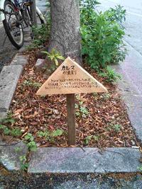 ナットク 2008/07/25 12:21:00