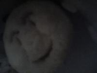感謝 2009/05/05 12:00:00