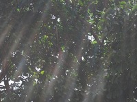 気分爽快！！ 2010/07/11 12:30:06