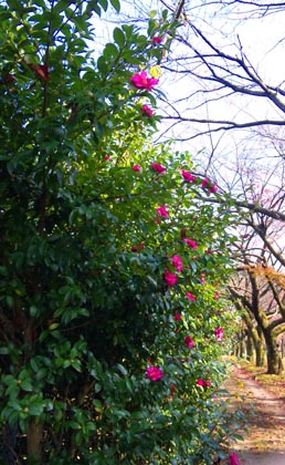 ゆっくりと