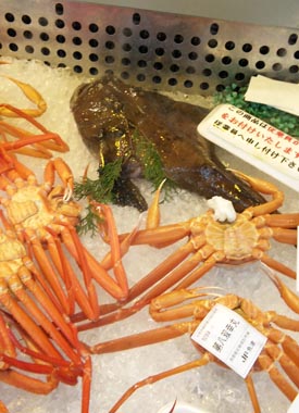 アンコウ