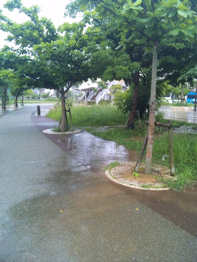つゆ