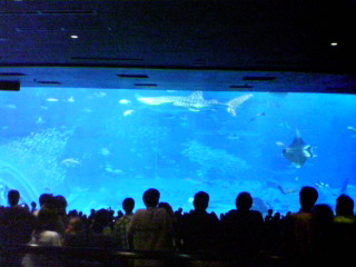 水族館