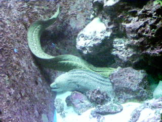 水族館