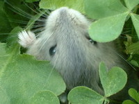 癒されています♪