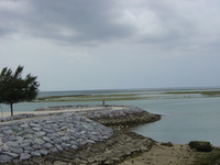 海と老人風？