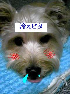 撃沈ウイルス