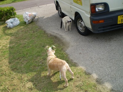 犬のくせに～(-_-;)