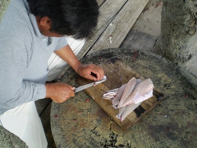 お魚…取られる