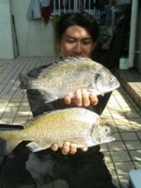チヌおめでとう！