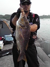 釣りスタート