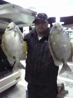 夜釣りの釣果！