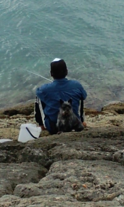 理想の愛犬！