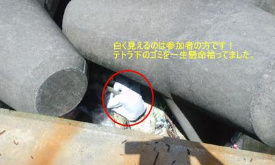 砂辺テラス！