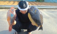 エロ撃沈