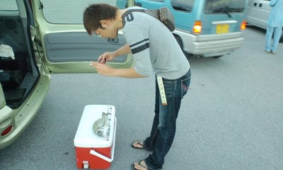 ＴＦＧチヌ釣り大会