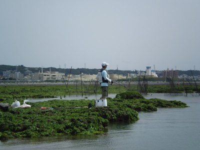 近場の離島