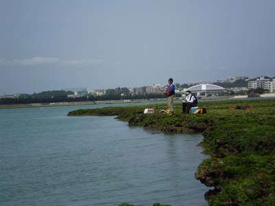 近場の離島