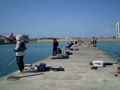 釣研ＦＧチヌ釣り大会の報告
