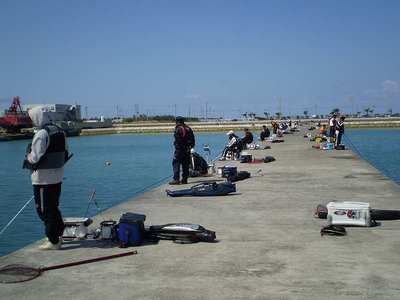 釣研ＦＧチヌ釣り大会の報告